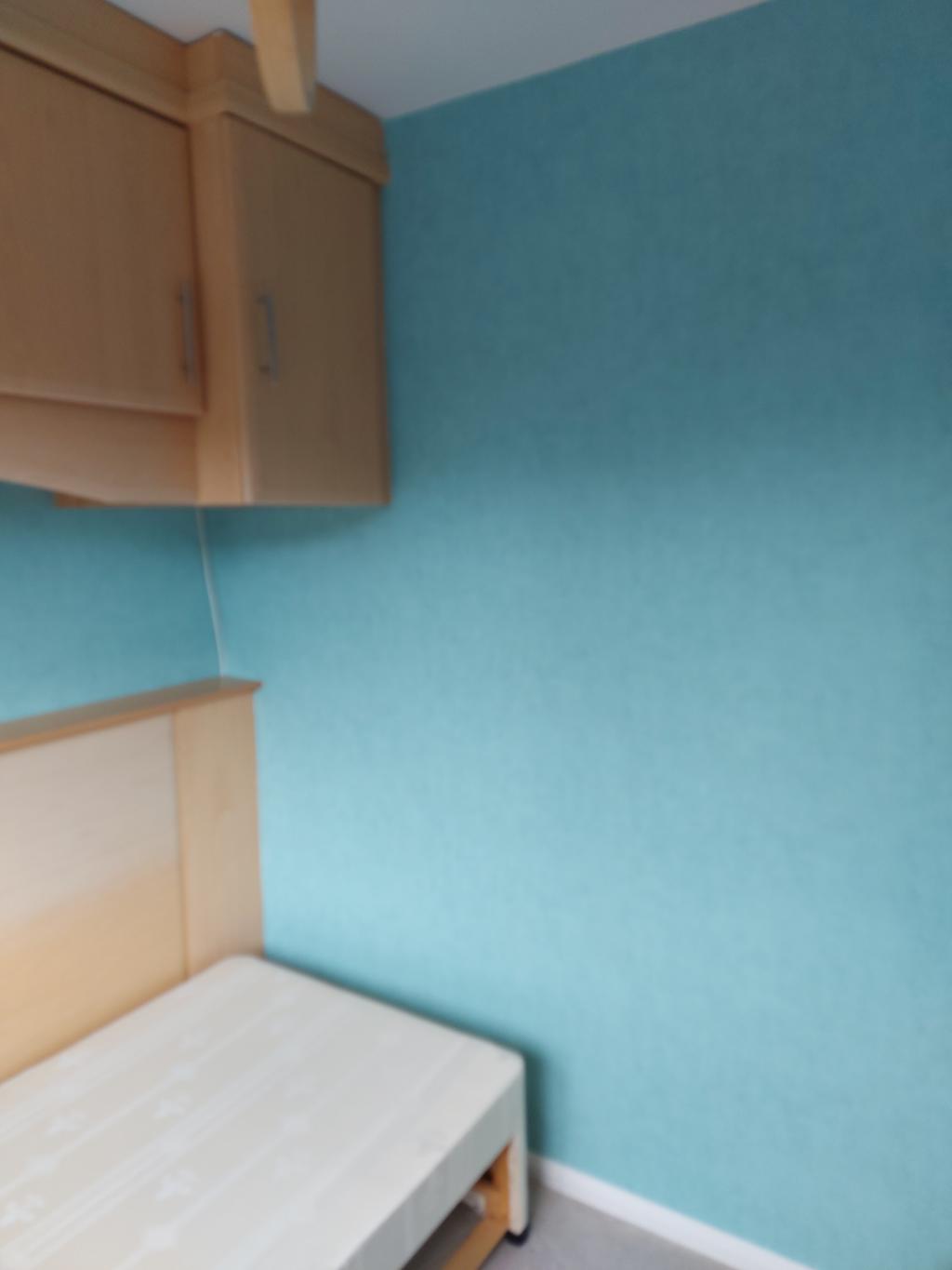 20230720 090951 1024x1365