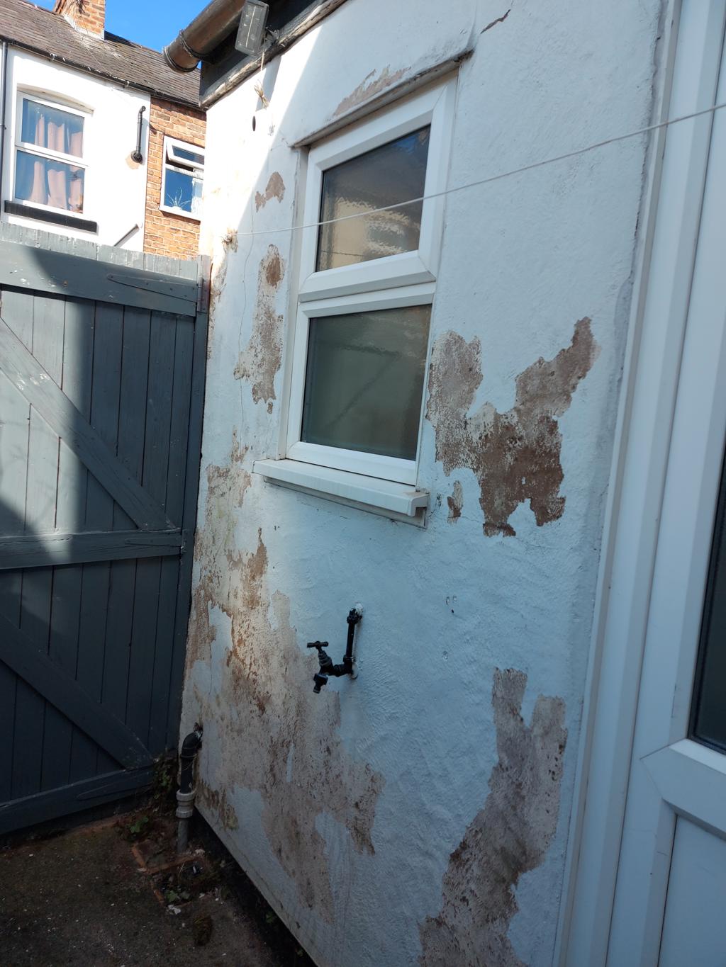 20230810 092655 1024x1365