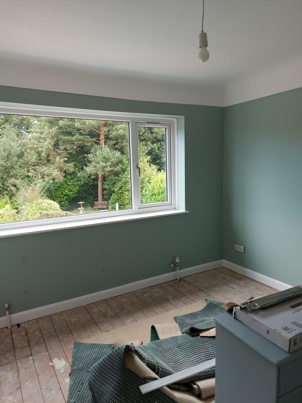 20230816 150311 1024x1365