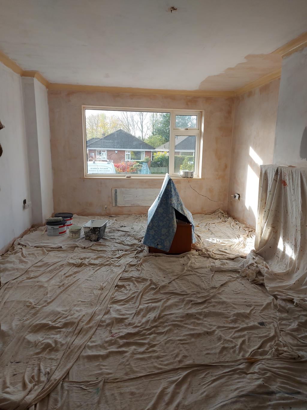 20231103 122807 1024x1365