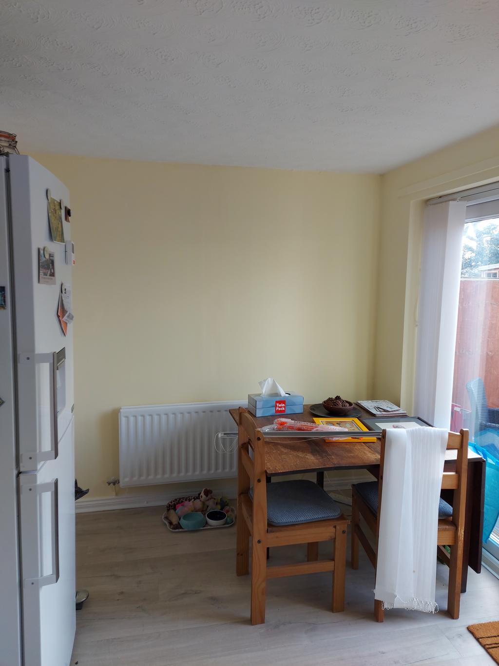 20240305 103520 1024x1365