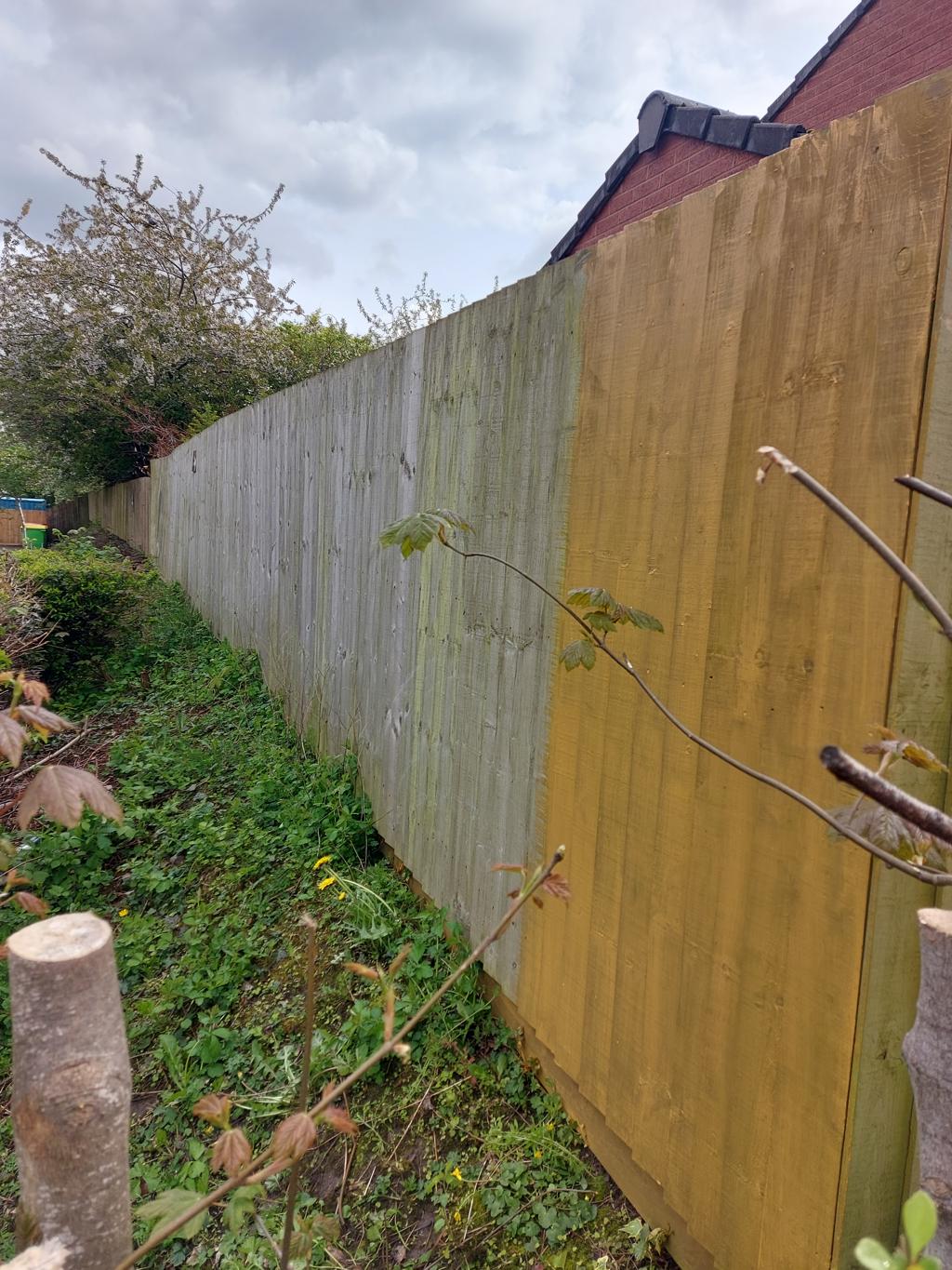 20250422 111032 1024x1365