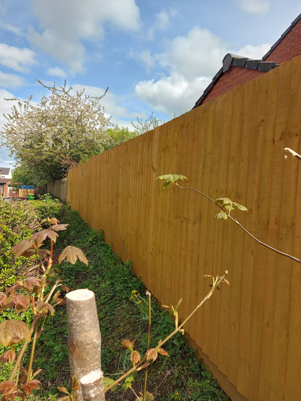 20250422 140752 1024x1365